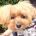 MARZA MARZA (@marzamarza) Twitter profile photo MARZA MARZA (@marzamarza) Twitter profile photo