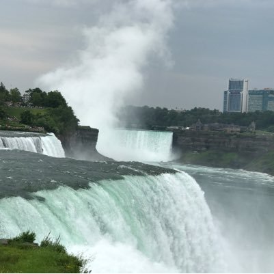 reza_joyc's profile picture. 