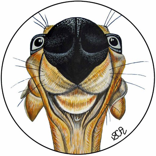 Visual artist based in the Scottish Borders specialising in wildlife and animal portraits - commissions welcome! Find me at facebook or Etsy @sarahcoxartwork