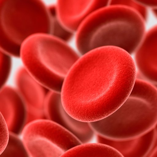 Laboratory carrying out haematology research, focusing on the myeloproliferative neoplasms