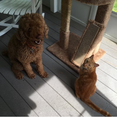 PoppyandCo's profile picture. 