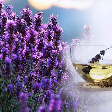 Experience the essence of natural wellness. Learn about the amazing benefits of using essential oils & natural products in your life. Make a change and join us