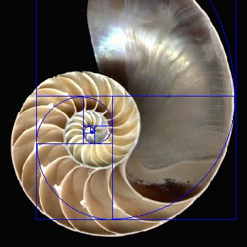 The Volusia Council of Teachers of Mathematics is a professional organization for teachers who teach K-12 mathematics in Volusia County.