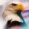 SeaEagleOne's profile picture. Love it or leave it. Cocked & Loaded. Drain the swamp; starve the beast!