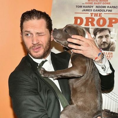 Where do I sign up for being Tom Hardy's bitch or punching bag?
TWD🔹Sherlock🔹Supernatural🔹buffy🔹Hannibal 🔹BoardwalkEmpire ❤
