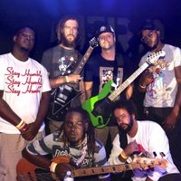 Bangarang (@bangarangtampa) 's Twitter Profile