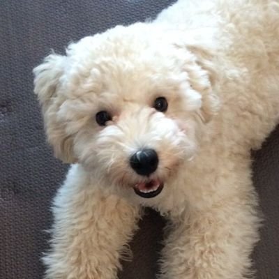 tks_kojo's profile picture. お腹空いた