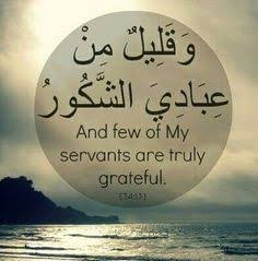 mumtaz_qandeel's profile picture. 