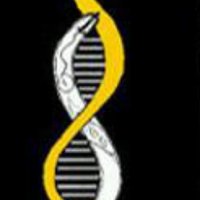 BaumLab (@baumlabisu) 's Twitter Profile
