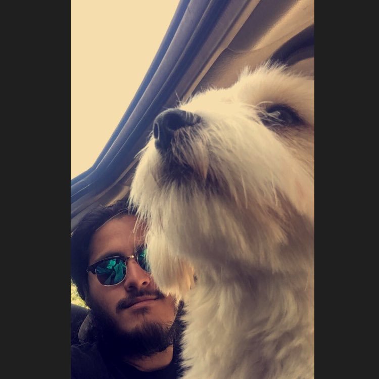 cotbjosh's profile picture. 