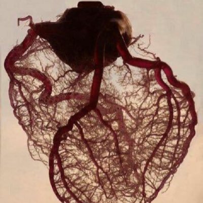 truprofessor's profile picture. 