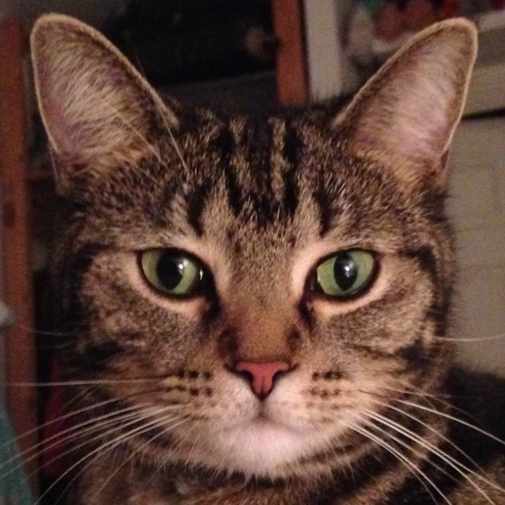 chambers_sj's profile picture. Work hard, have fun and enloy life!