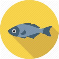 THE OCEAN WEALTH (@theoceanwealth) 's Twitter Profile