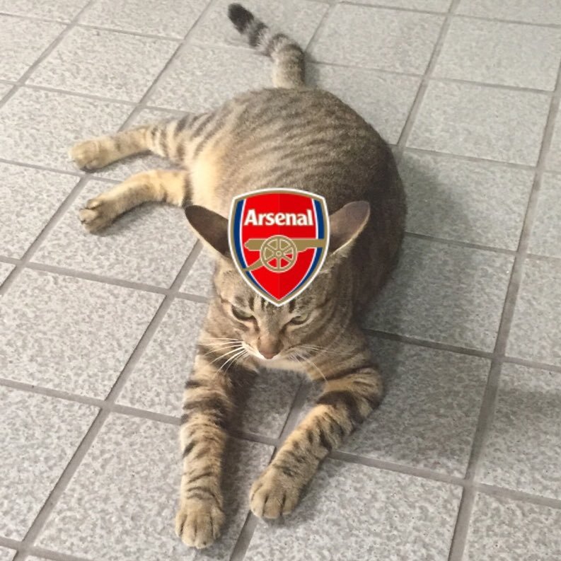 Arsenal／阪神／PSID:prancingmon_18／FIFA中心／観戦中うるさいです