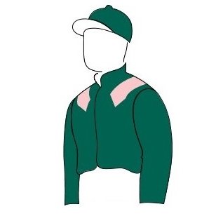 dreamracingclub's profile picture. Racehorse Owners & Professional Gamblers. Yards inc. Mick Appleby & Archie Watson. Owners of multiple AW winners Pulsating, Something Lucky.