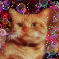 たすけ (@tasuke1012) 's Twitter Profile