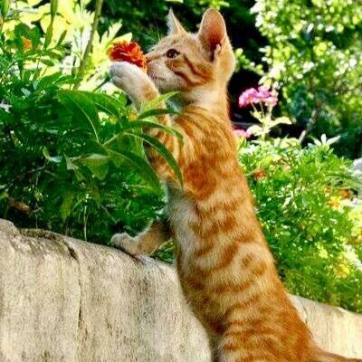 Sb08511's profile picture. 