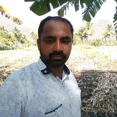 thalabalajee's profile picture. NSE &  BSE