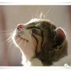 2388266090Yuki's profile picture. Yuki  連絡組 国際担当 https://t.co/StWayNyPyM 2017 Committee  公式サイト:https://t.co/4ECb9c0Muf
 詳しい情報や最新情報など以下のソーシャルメディアにご注目ください facebook | twitter | google+ | weibo