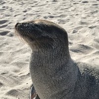 @PVscienceresearch (@pvsciresearch) 's Twitter Profile
