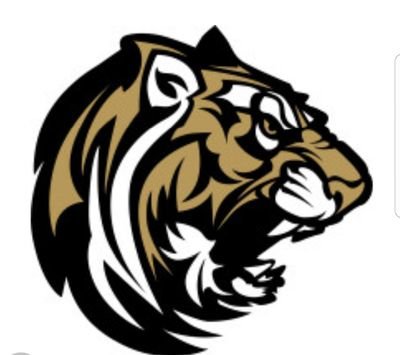 LadyTigerBBall1 Profile Picture