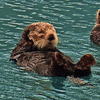 p11p97's profile picture. 