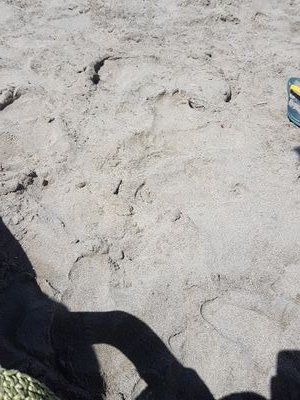 acciaroliva's profile picture. Tecnologia e Scienza