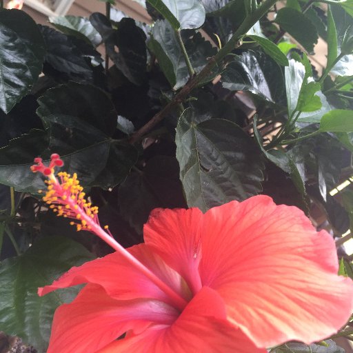 Seriouslyfolks0's profile picture. 