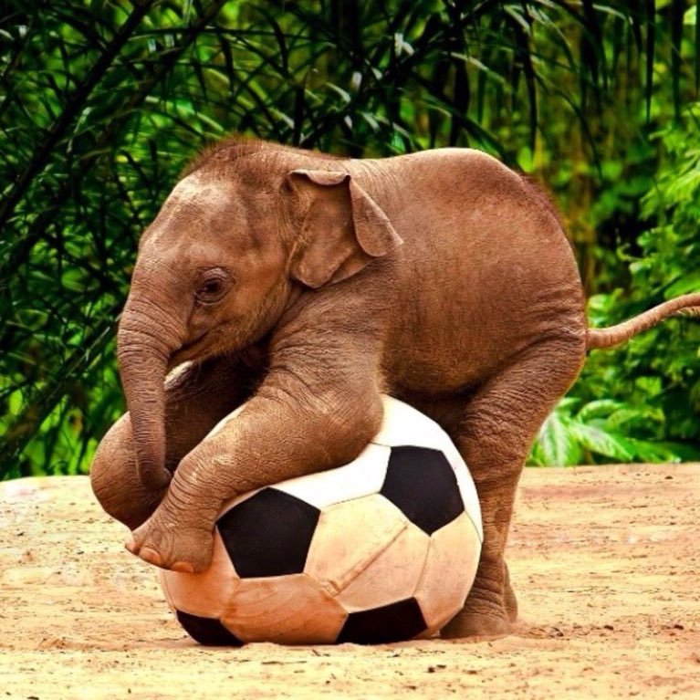 FuadMaan's profile picture. We out here...