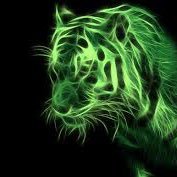 Tushka Tiger Athletics (@tushkaathletics) 's Twitter Profile
