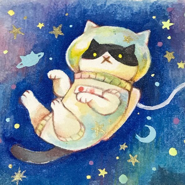ほむさんのプロフィール画像