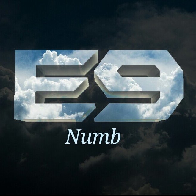 FluxNumb's profile picture. Proud Member of Evac9