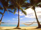Review travel MLMs network marketing companies