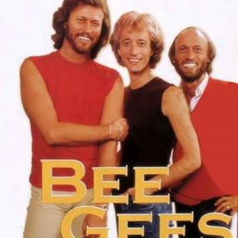 love  Bee gees  the Monkees. Peter Noone .    the Partridge Family and  other TV show  from the  50;s 60s and 70's.   oldies music snoopy