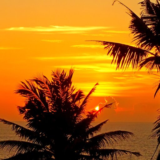 Arabian Soul situated at beautiful Varkala Beach with rooms available year round, a place close to your heart.