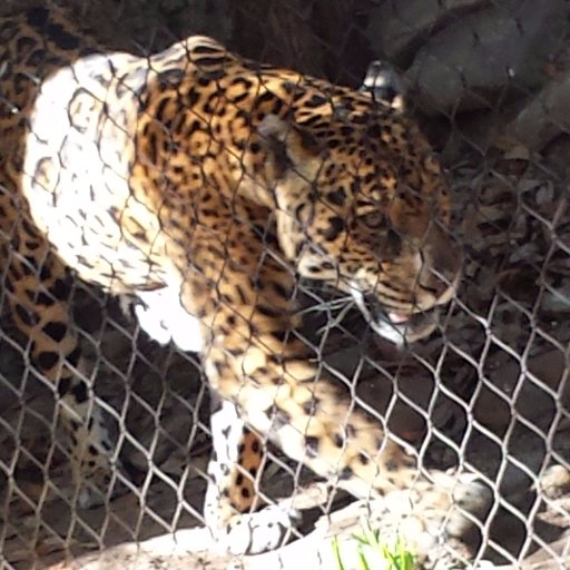 WriterSW42's profile picture. 