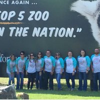 Coder Elementary (@coderelementary) 's Twitter Profile