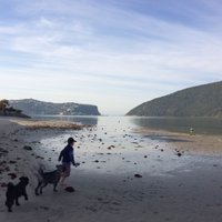 Nicci Rousseau (@knysnapr) 's Twitter Profile