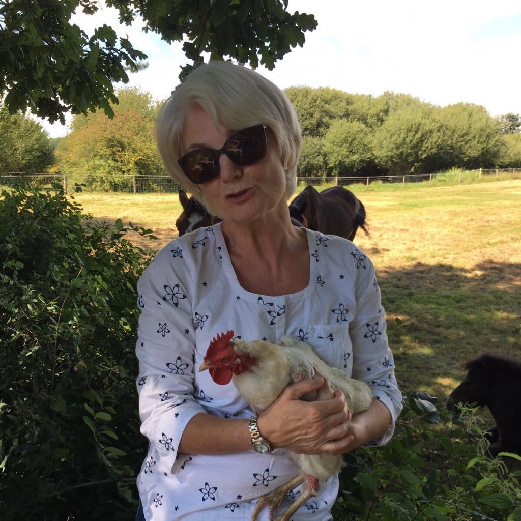 Chicken keeper, mother of cats and would be pig - woman. Humanitarian who tries to make a difference