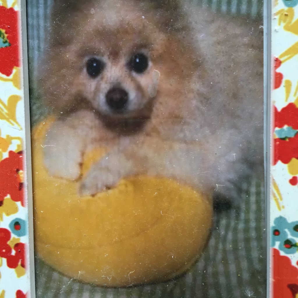 B0X4U8AjnDlQvsU's profile picture. 