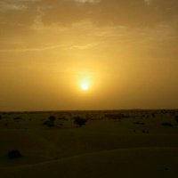 Yousci (@cisseyousci3) 's Twitter Profile Photo