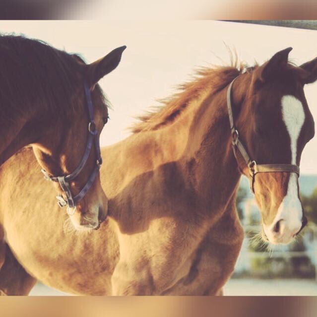 وُراء كل صبّر ، آموٌر جميلة فَـ لنصّبر لعلنآ نرزقَ بُما نريد🌸