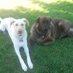 Donna Dorilio (@basketballmom85) Twitter profile photo Donna Dorilio (@basketballmom85) Twitter profile photo