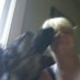 Cindy Voth (@voth_cindy) Twitter profile photo Cindy Voth (@voth_cindy) Twitter profile photo