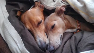 mochi_nori_'s profile picture. ただの宇宙野郎