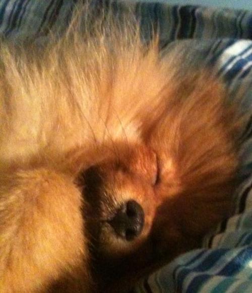 natalya22's profile picture. love to live life, you only get one chance!!