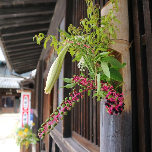 genuinefruit's profile picture. 