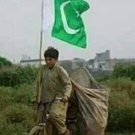 Niazi37Niazi's profile picture. 