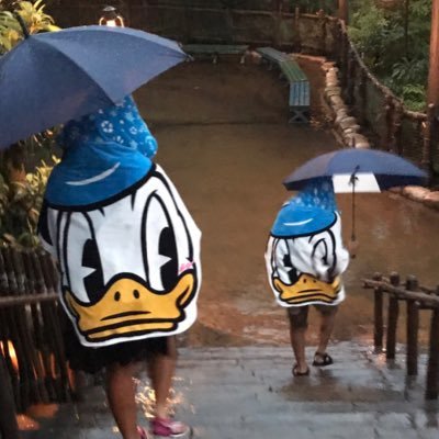 主にディズニーシーのアトラクション待ち時間をpostします!! 気軽にフォローお願いします🙇‍♀️