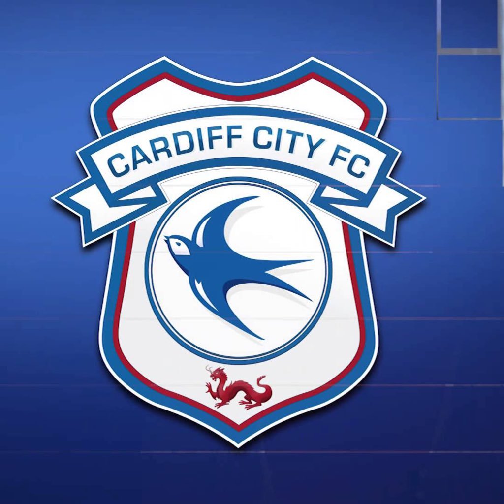 cardiffcitydcnp's profile picture. Cardiff City FC Academy Development centre, Newport Region u11-15s. helping the best local talent into regional academy football rhys.nelson@cardiffcitydc.com